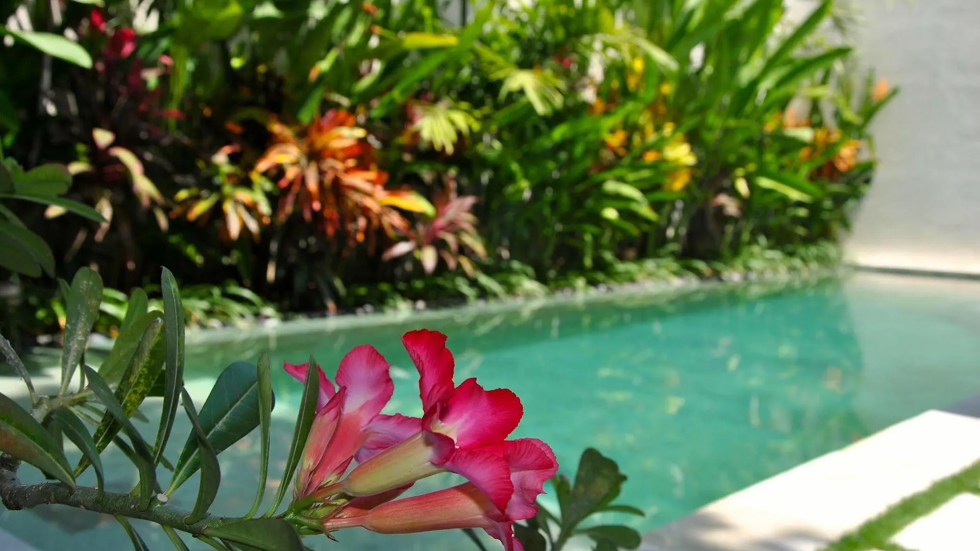 Villa Bali Asri Batubelig Seminyak  Indonesia
